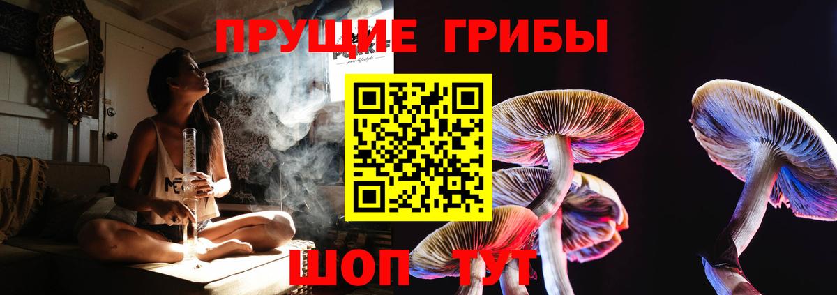 Алатырь  даркнет сайт  Вход с VPN  Галлюциногенные грибы мицелий 
