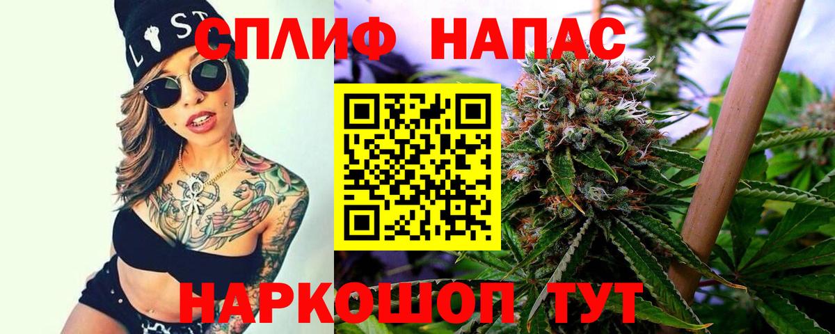 Конопля Bruce Banner Алатырь